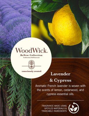 ReNew Lavender & Cypress Medium Jar Candle Image 2 of 5