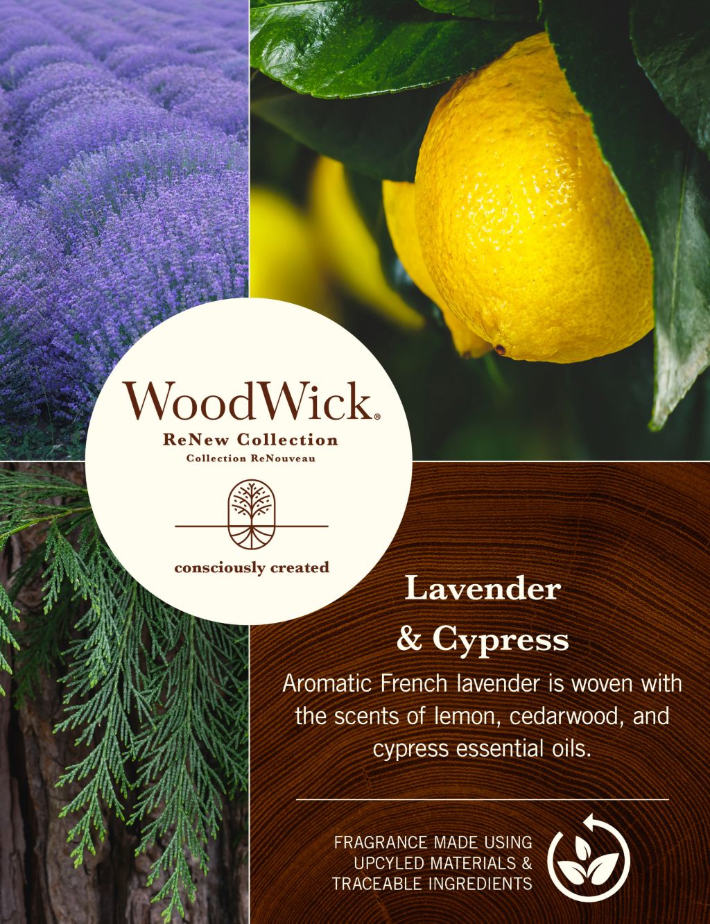 ReNew Lavender & Cypress Medium Jar Candle 1 of 5