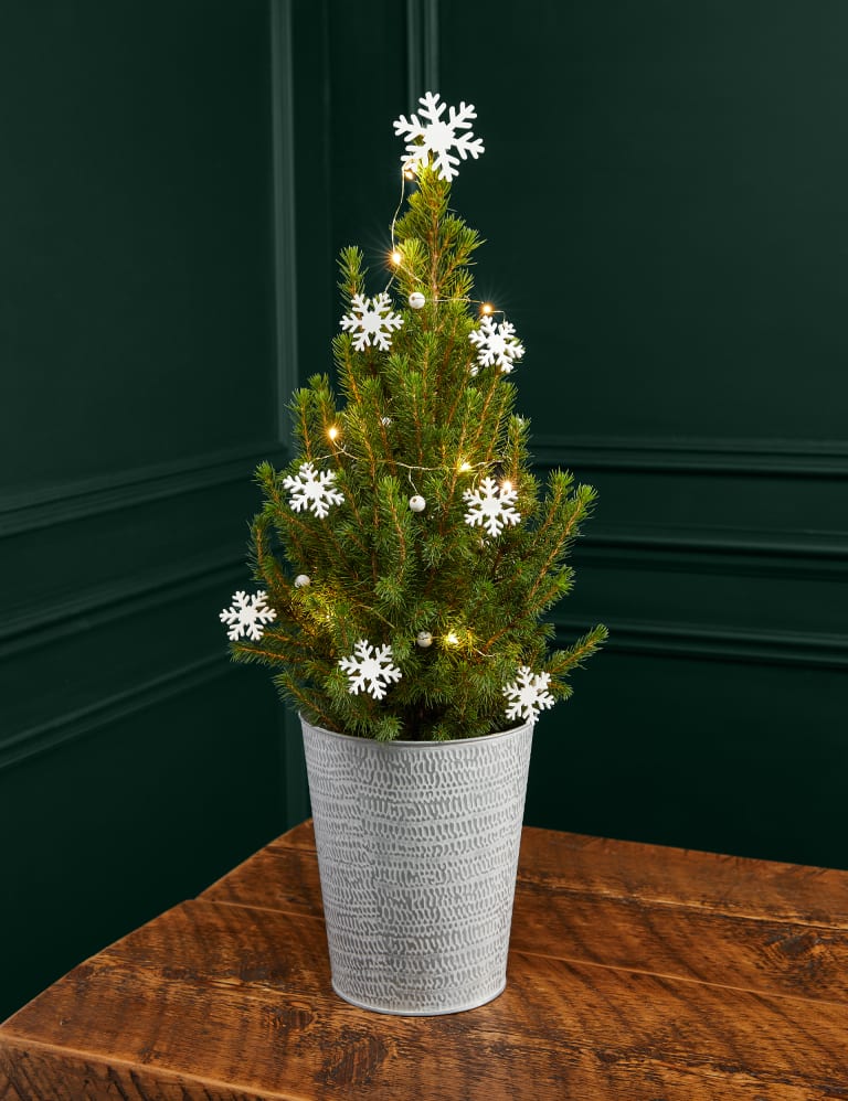 M & s christmas clearance tree