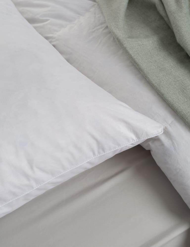 Recycled Feather & Down Pillow Earthkind M&S
