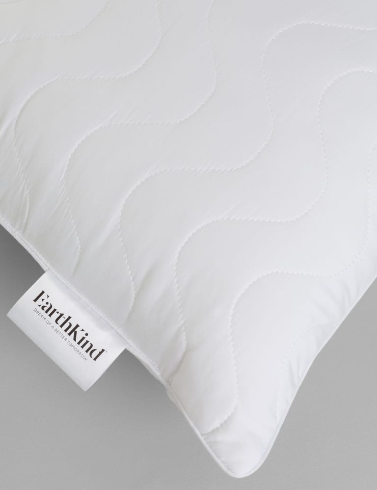 Recycled Synthetic Pillow Earthkind M S