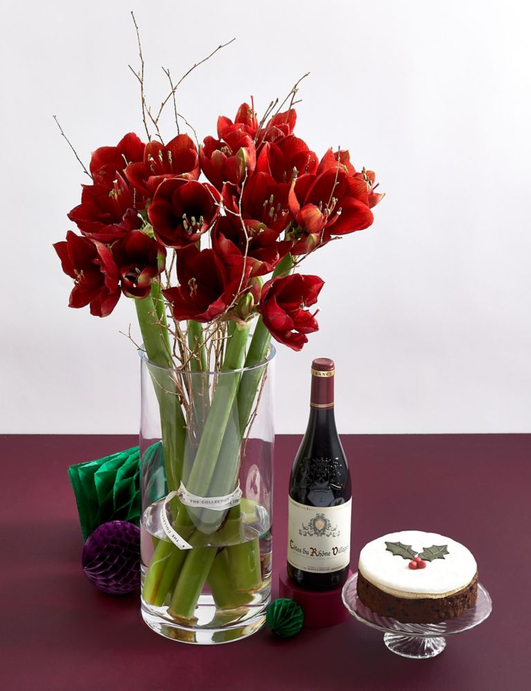 Red Amaryllis, Christmas Cake & Red Wine Festive Gift Selection 1 of 4