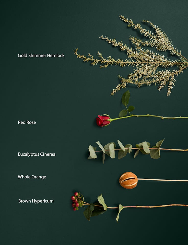 Red Parrot Tulip Abundance Bouquet M&S