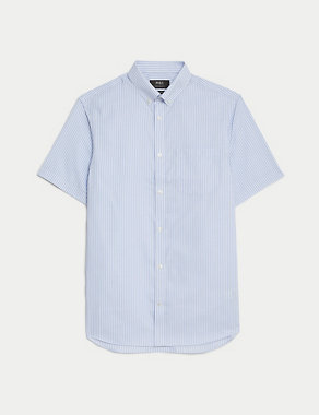 Regular Fit Non Iron Pure Cotton Striped Shirt Image 2 of 6
