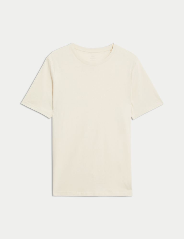 Regular Fit Pure Cotton Crew Neck T-Shirt 1 of 1