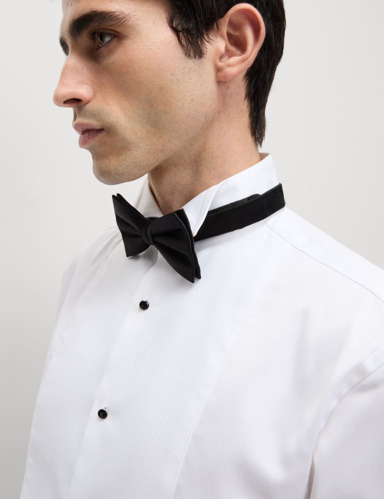 Cotton dress shirt online