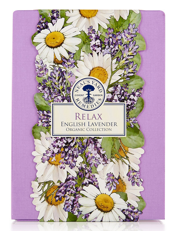 Relax English Lavender Organic Collection Image 1 of 2