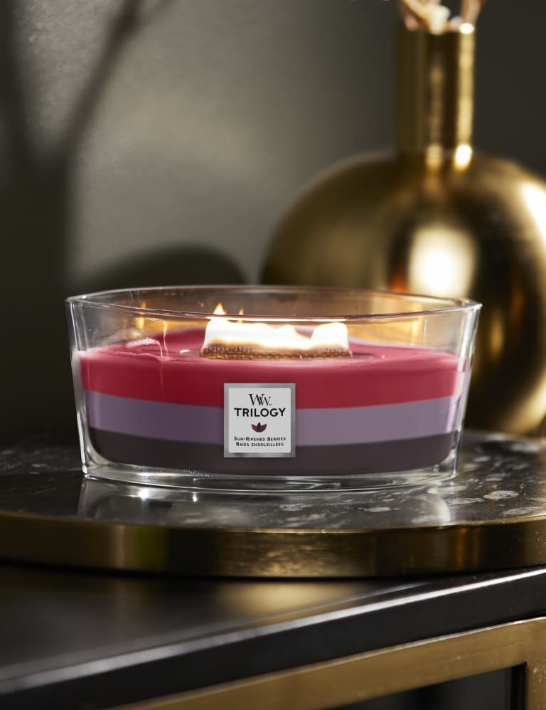 Ripened Berries Ellipse Candle with Crackle Wick Woodwick M S