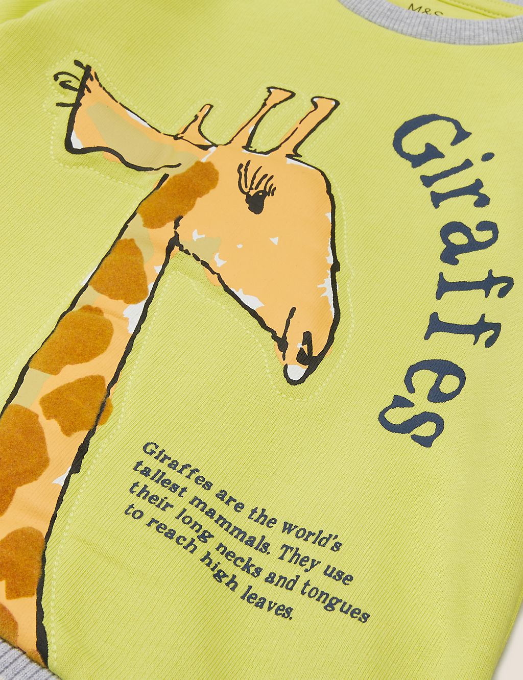 Roald Dahl™ & NHM™ Giraffe Sweatshirt (2-7 Yrs) 6 of 6