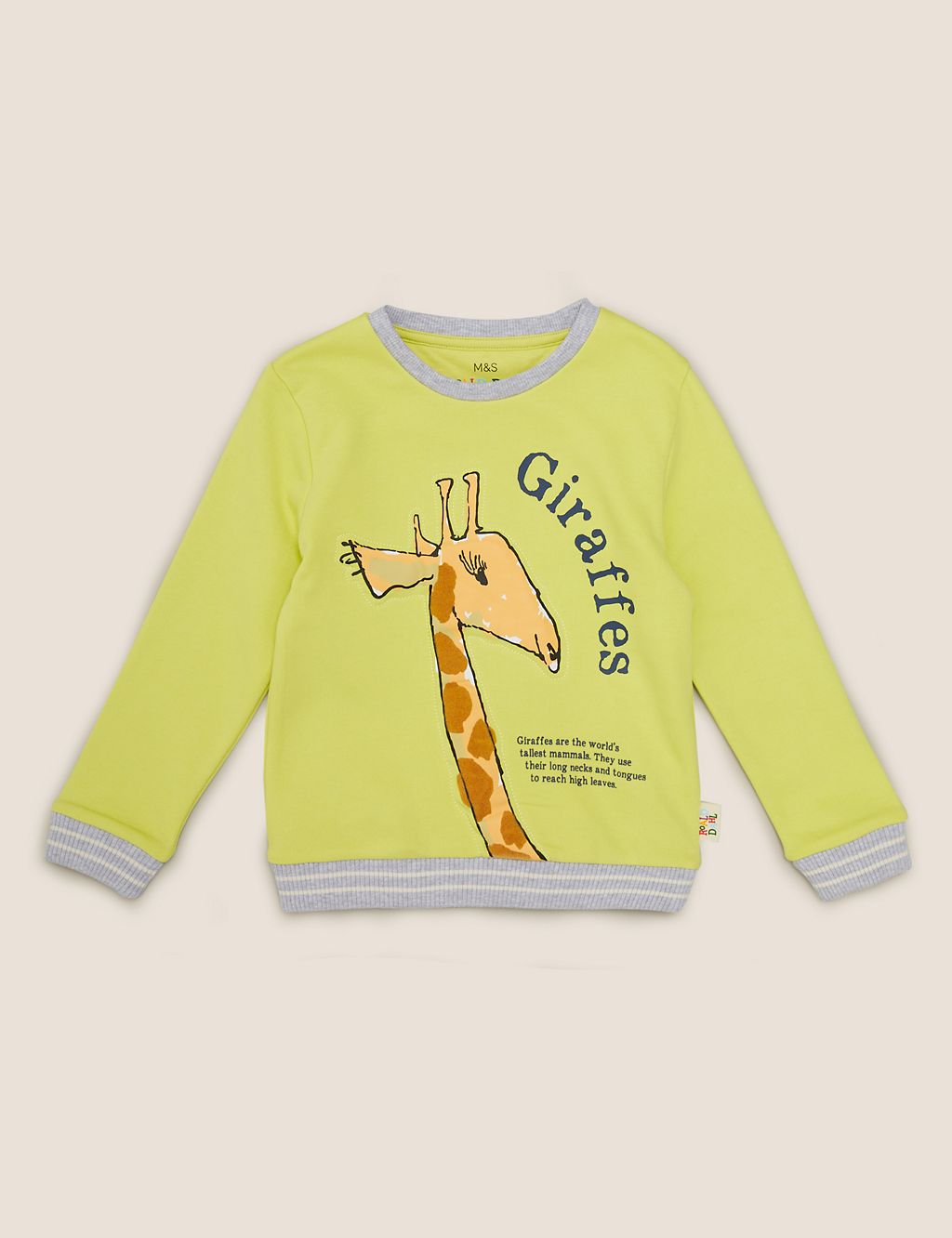 Roald Dahl™ & NHM™ Giraffe Sweatshirt (2-7 Yrs) 1 of 6
