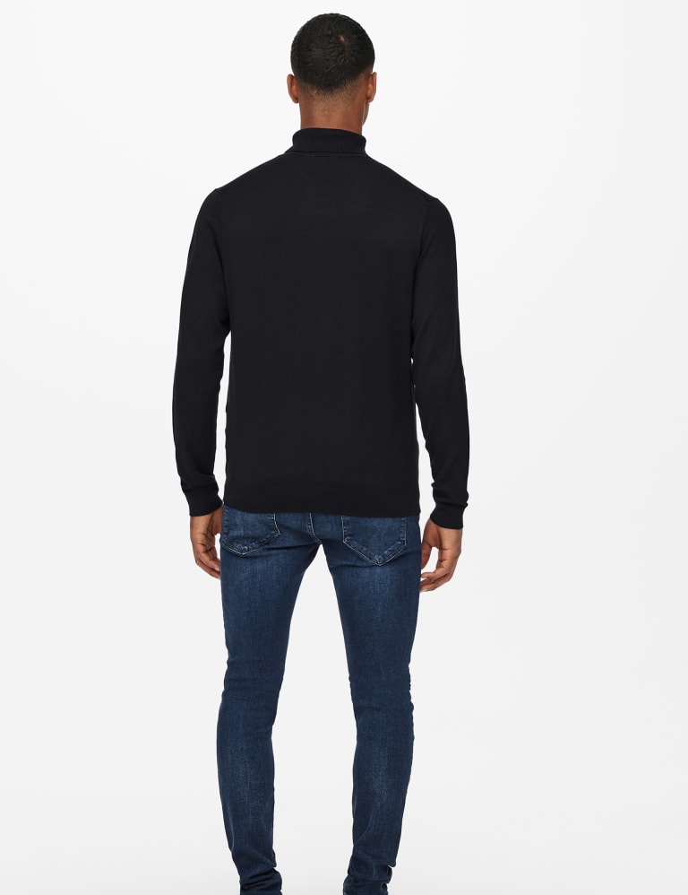 Mens roll neck jumper m&s on sale
