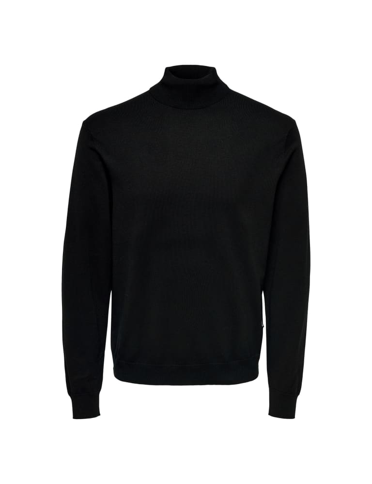 Pure Merino Wool Roll Neck Jumper, M&S Collection