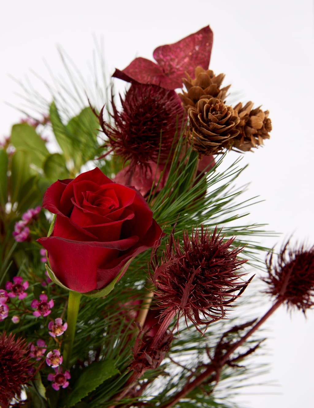 Rose & Eryngium Bouquet with Christmas Cosmo Cocktail M&S