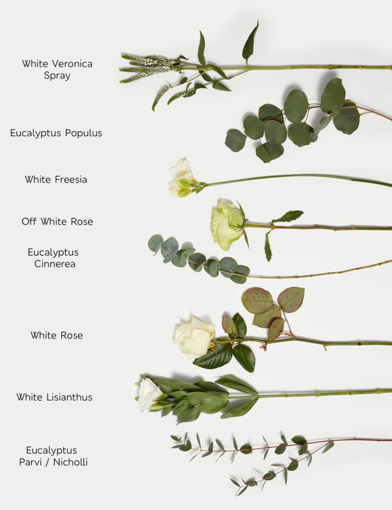 Rose, Freesia & Eucalyptus Bouquet 6 of 7