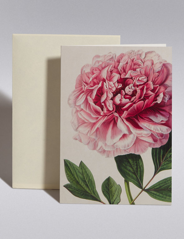 Royal Horticultural Society Pink Peony Blank Card Image 1 of 1