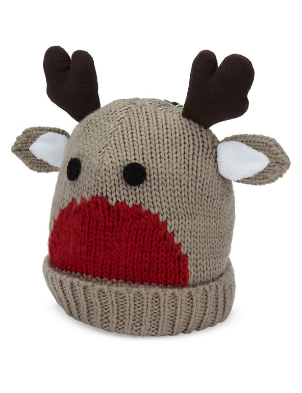 Rudolph Beanie Hat Image 1 of 1