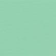 apple colour option