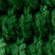 Pure Cotton Collared Knitted Top - mediumgreen