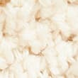 Pure Cotton Collared Knitted Top - ivory