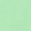 Jersey Collared Shirt - freshmint