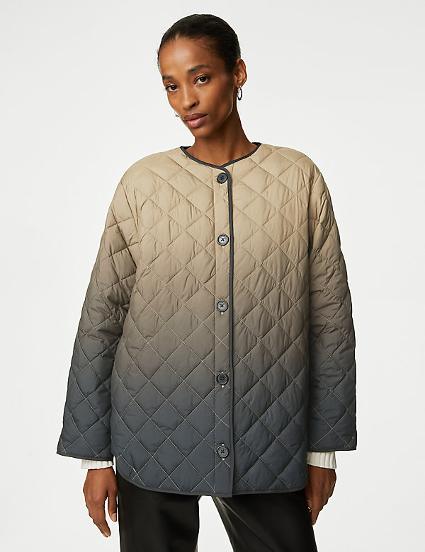 Ombre Quilted Collarless Jacket - BN