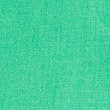 Pure Irish Linen High Waisted Shorts - spearmint
