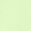 Funnel Neck Fleece - palegreen