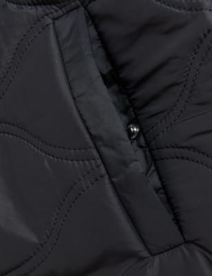

Per Una Chaqueta acolchada con relleno sin cuelloWomens - Black, Black