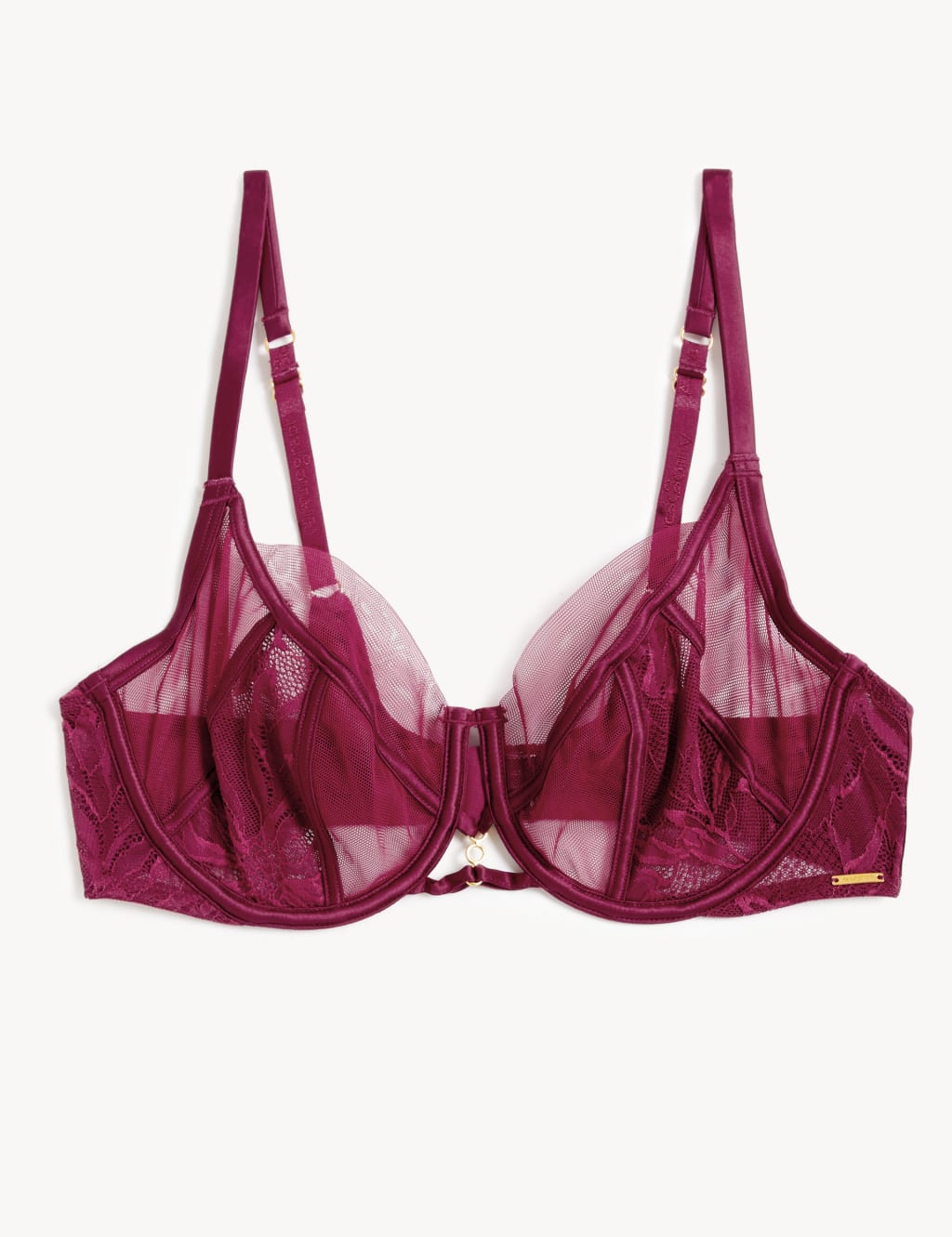 Lexington Lace & Mesh Wired Full Cup Bra A-E image 2
