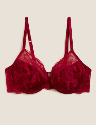 Printed Setting RT.PRT 24 D Cup Bra at Rs 430/piece in Mumbai