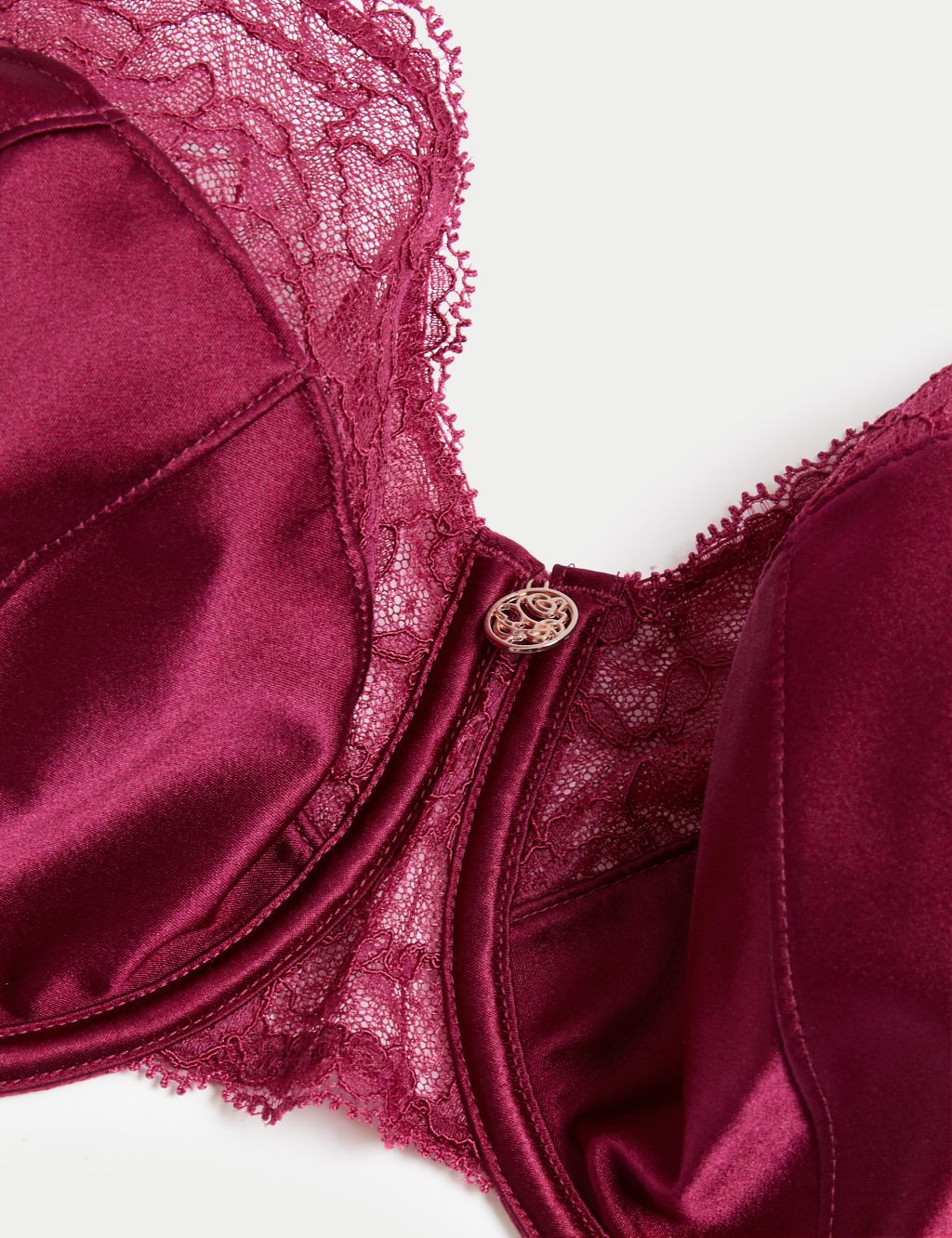 Claret Silk & Lace Wired Full Cup Bra F-H image 6