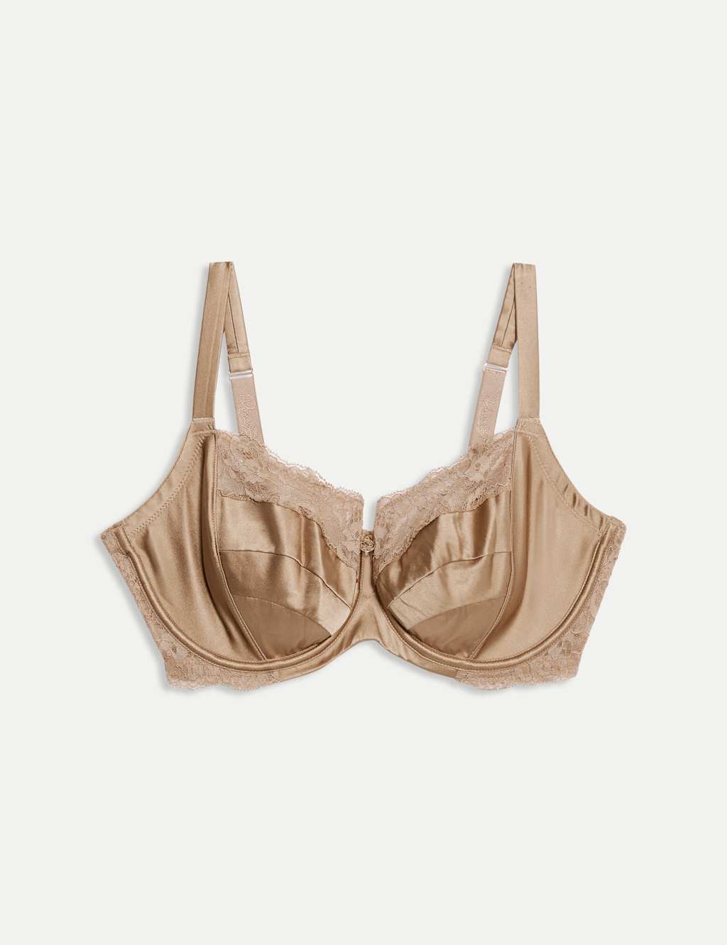 Silk & Lace Wired Balcony Bra F-H image 1