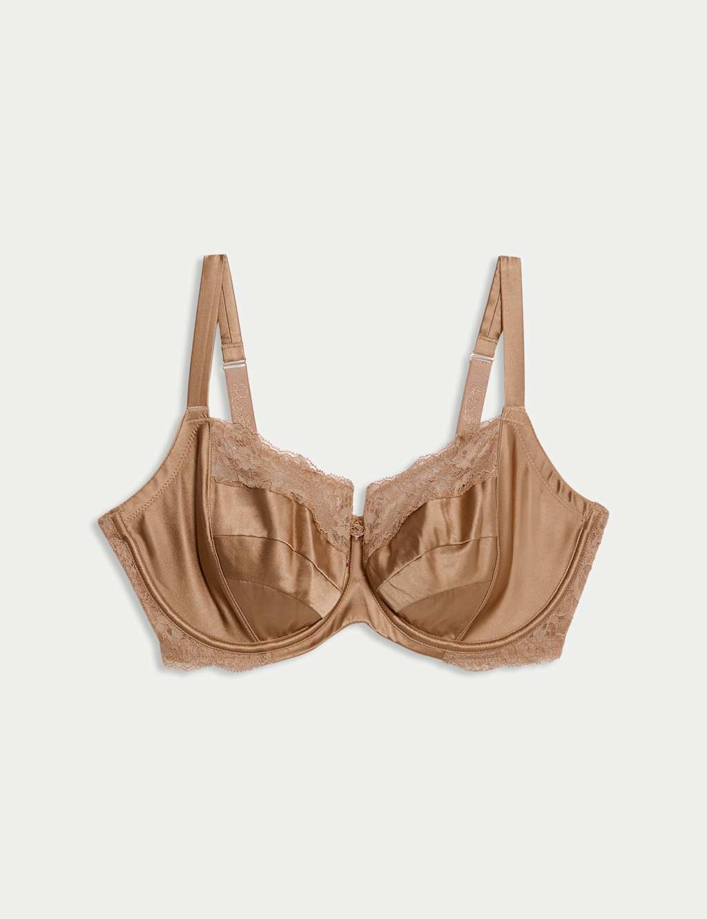 Silk & Lace Wired Balcony Bra F-H image 2