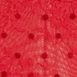 Anna Lace High Leg Knickers - brightred