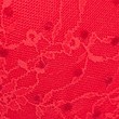 Anna Lace Wired Push-Up Bra A-E - brightred