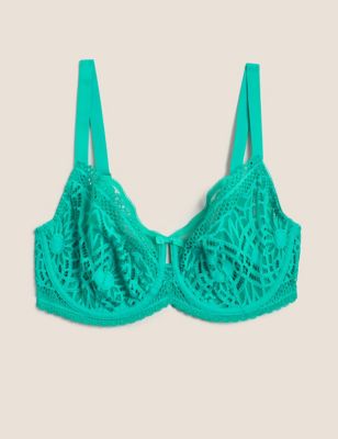Boutique Womens Joy Lace Wired Full Cup Bra F-H - 28F - Green, Green,Black,Deep Mauve