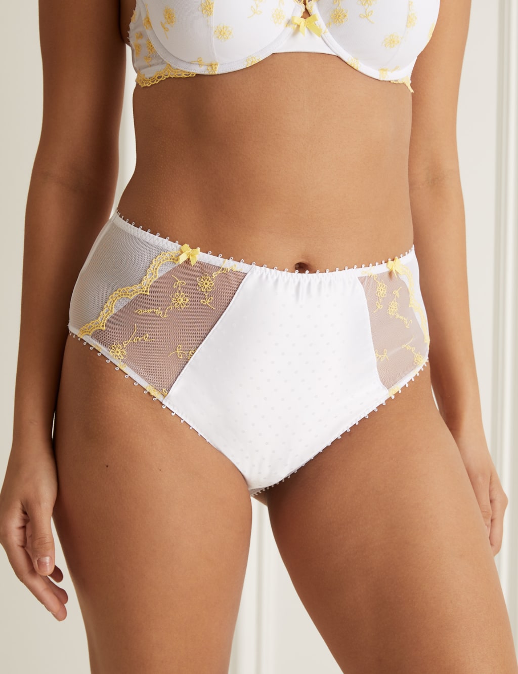 Evaline High Waisted Brazilian Knickers image 3