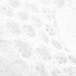 Cleo Lace High Waisted High Leg Knickers - white