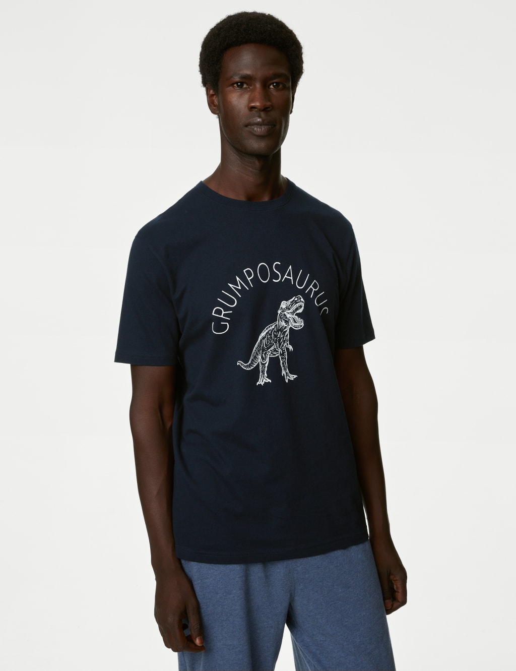 Pure Cotton Dinosaur Graphic Loungewear Top image 4