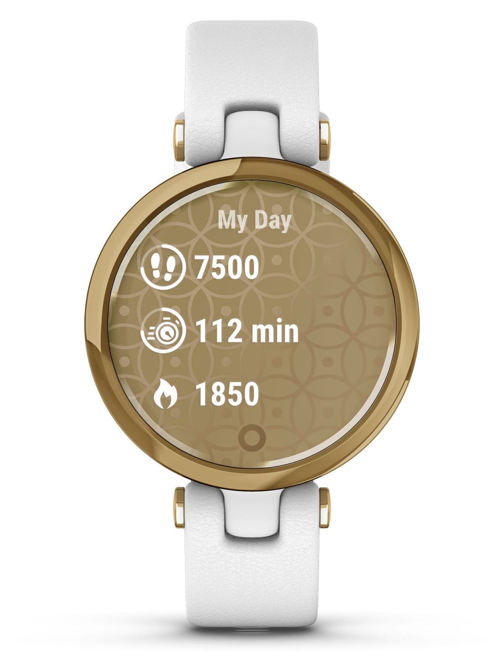 Garmin Lily Light GPS Gold Smartwatch image 1