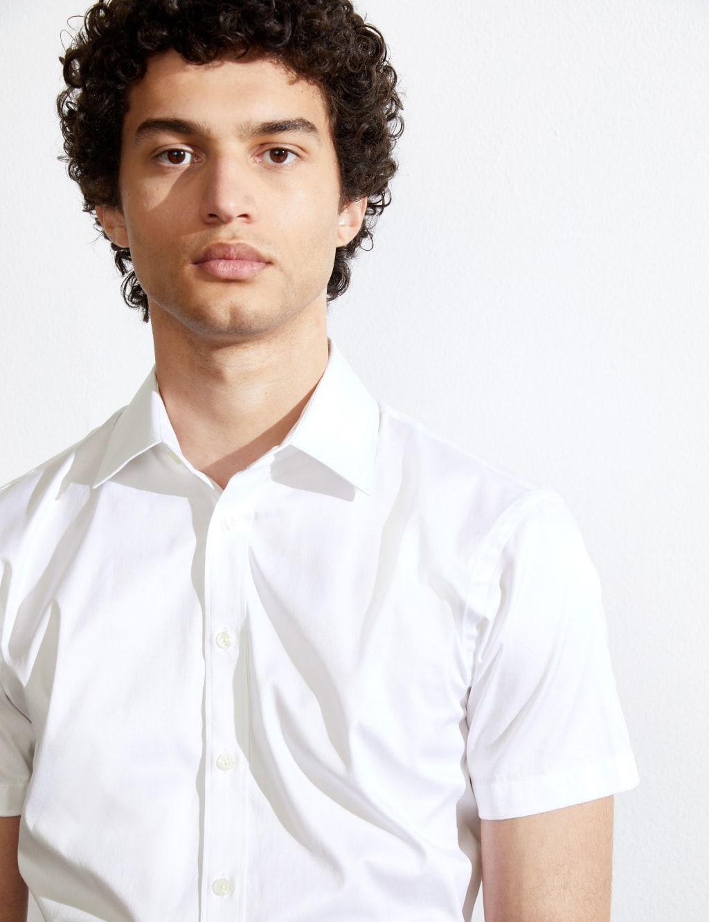 Regular Fit Pure Cotton Twill Shirt image 4