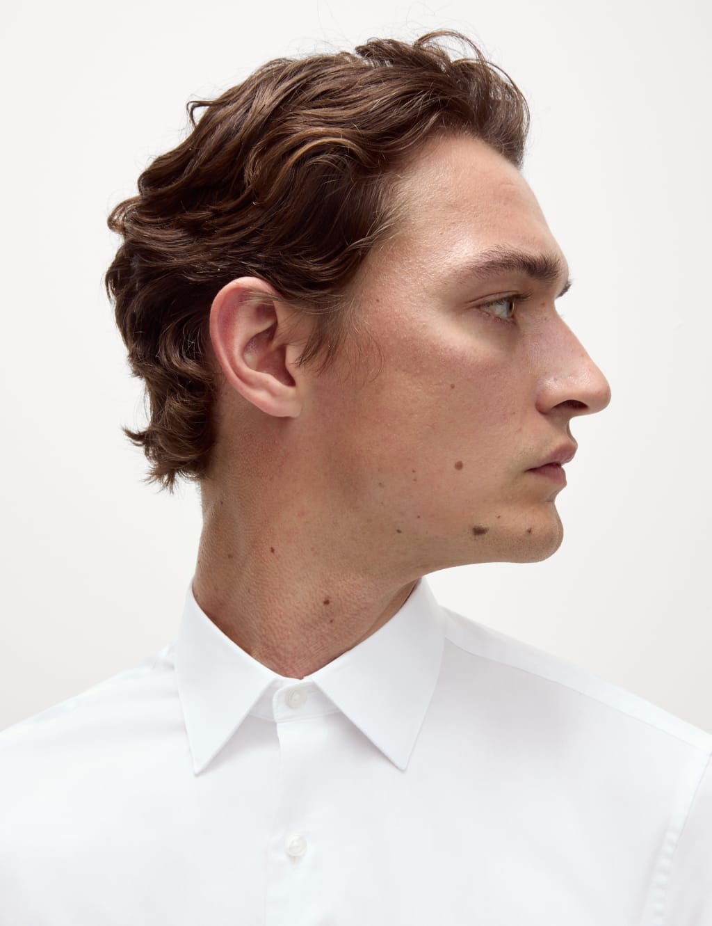 Regular Fit Easy Iron Pure Cotton Shirt image 3