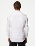 Camisa estampada de corte ajustado 100% algodón sin planchado