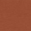 copper tan colour option