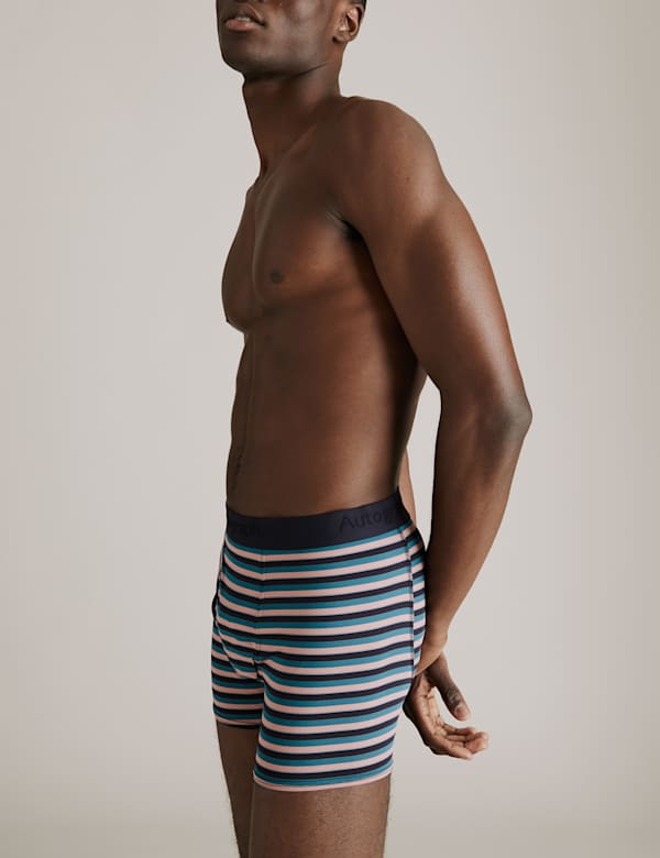 3 Pack Striped Trunks