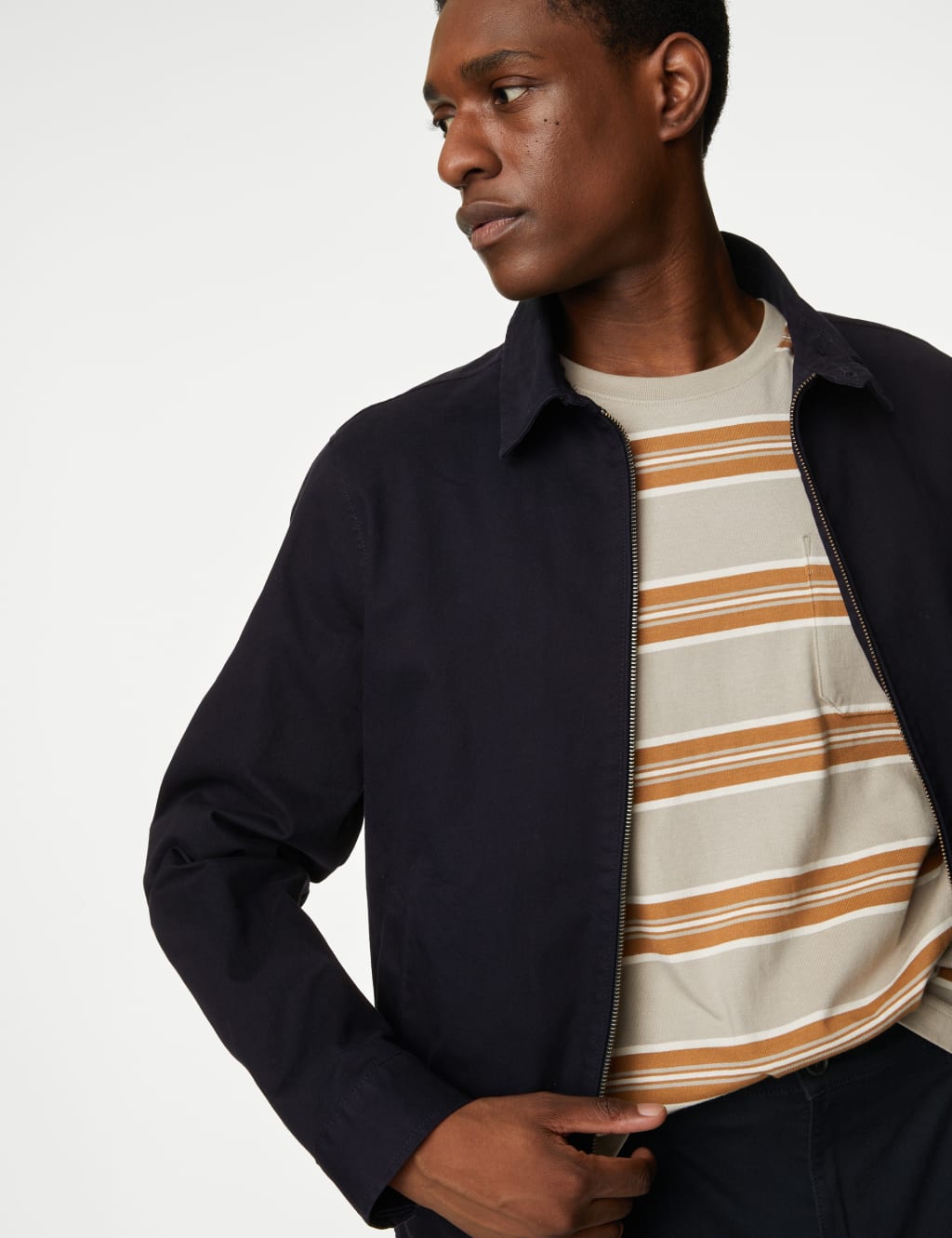 Cotton Rich Harrington Jacket image 2