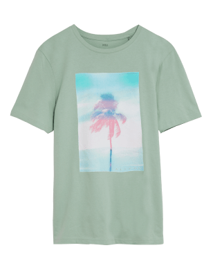 

Mens M&S Collection T-Shirt aus reiner Baumwolle mit Palmenmotiv - Soft Green, Soft Green