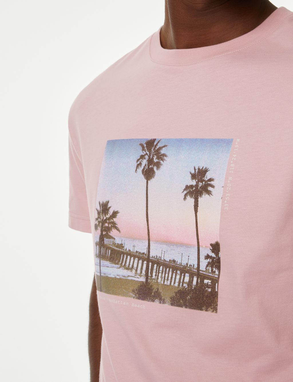 Pure Cotton Palm Tree Graphic T-Shirt image 2