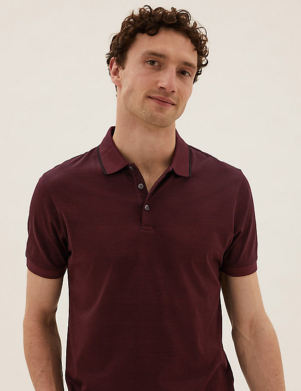 Premium Pure Cotton Striped Polo Shirt - DE