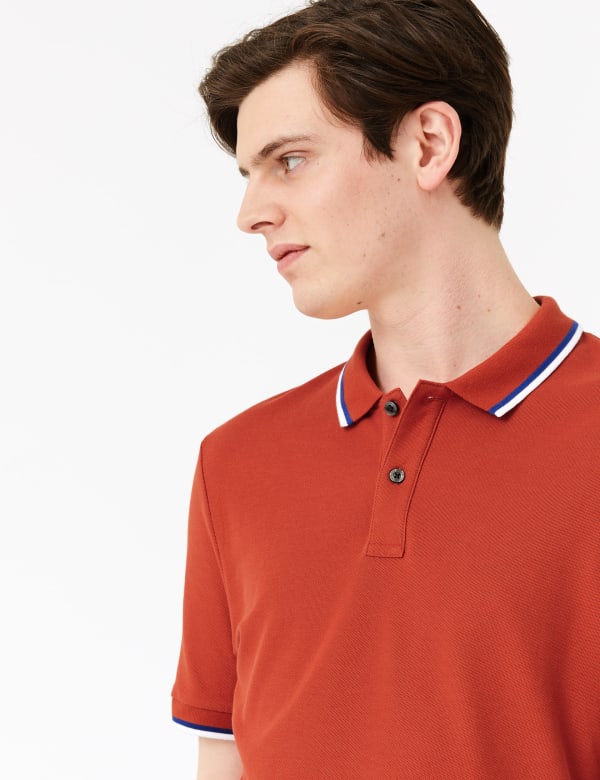 Pure Cotton Wide Tipped Polo Shirt